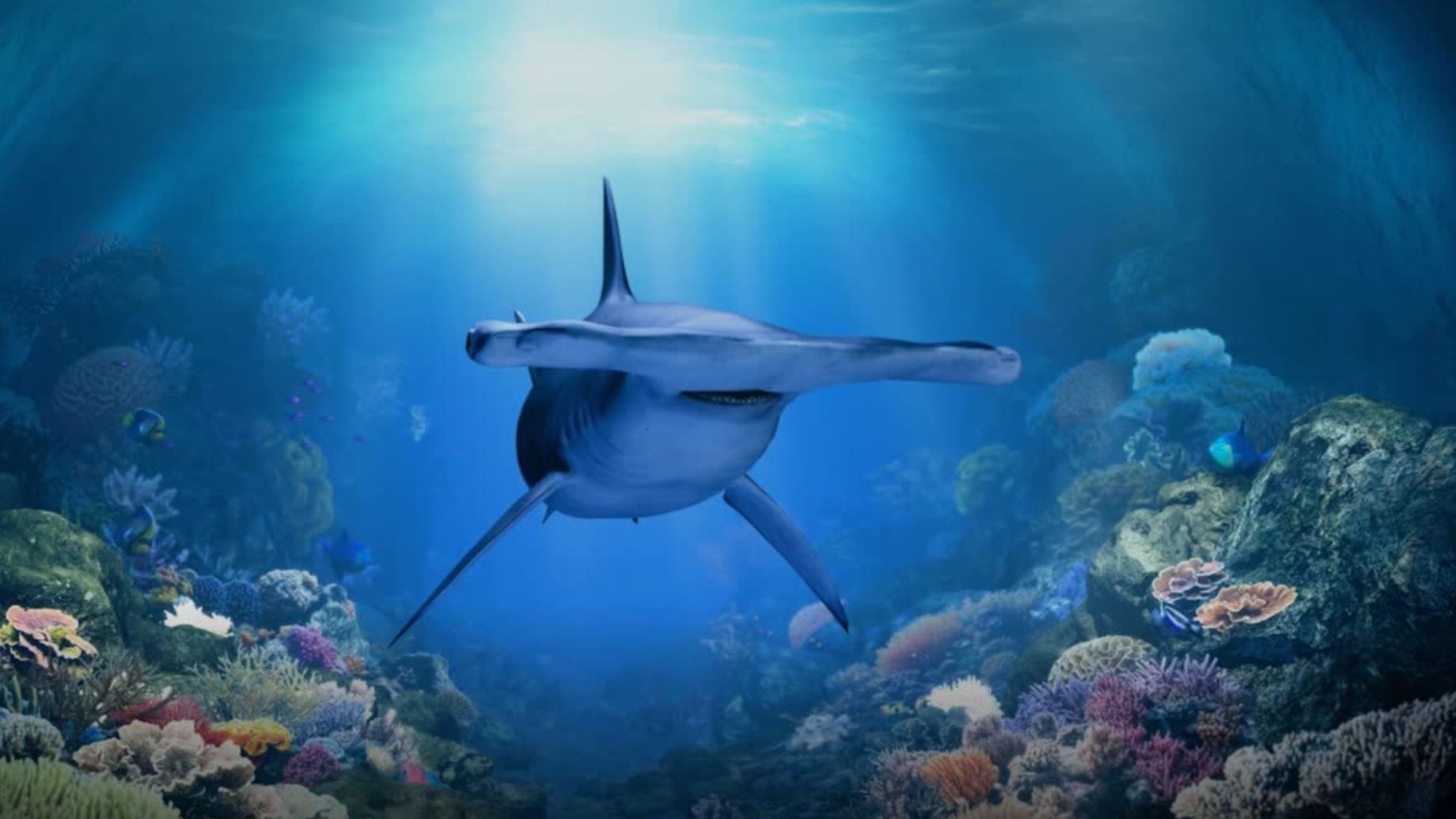 Singapore Oceanarium